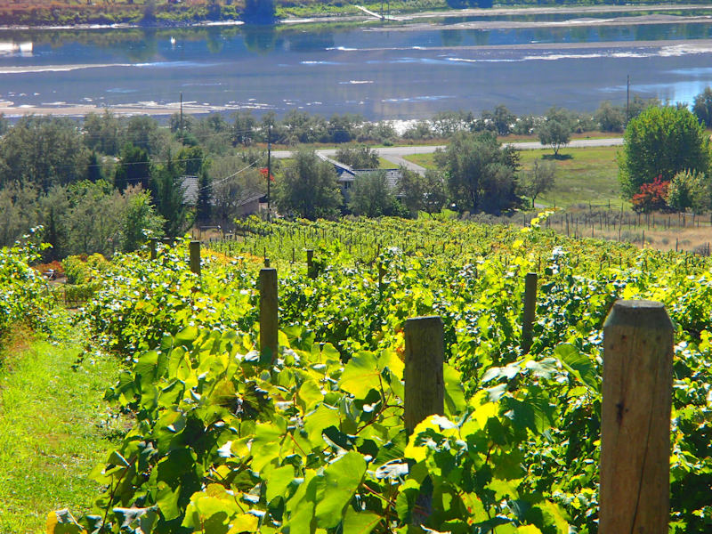 Sagewood Estate winery